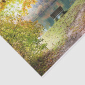 オータムフォレストフレームティッシュペーパー 薄葉紙 (詳細)