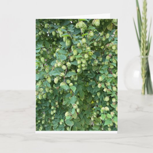 オータムホップ空白の シーズンカード (正面)