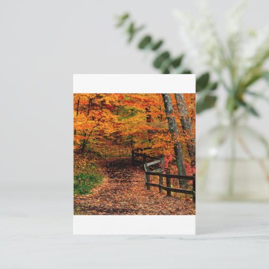 オータムマッコミッククリーク州パークインディアナ ポストカード (スタンド正面)