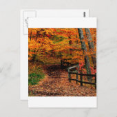 オータムマッコミッククリーク州パークインディアナ ポストカード (正面/裏面)