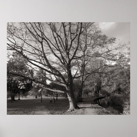 オータムランドスケープビュートパークカーディフ ポスター (正面)