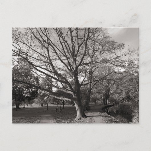 オータムランドスケープビュートパークカーディフ ポストカード (正面)