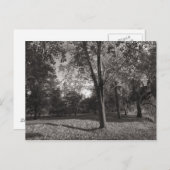 オータムランドスケープビュートパークカーディフ ポストカード (正面/裏面)