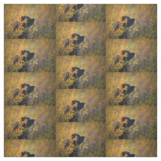 オータムレオンベルガー ファブリック (見本)