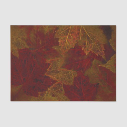 オータムレッドオレンジネオンダークカエデ葉 薄葉紙 (正面)