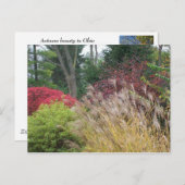 オータム美しいインオハイオ ポストカード (正面/裏面)