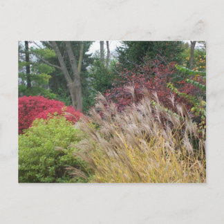 オータム美しいインオハイオ ポストカード