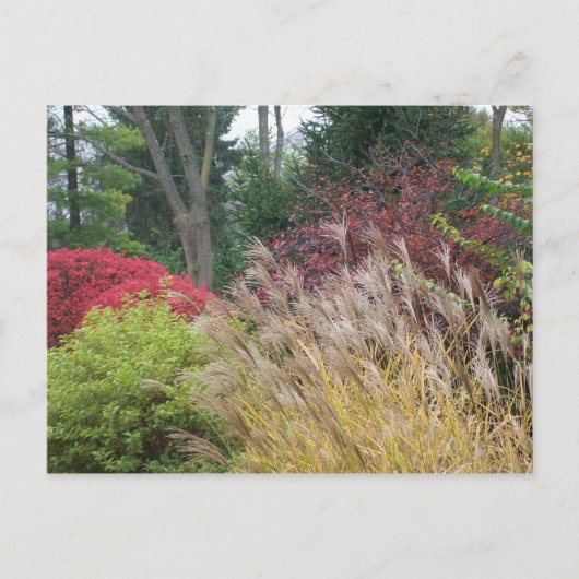 オータム美しいインオハイオ ポストカード (正面)