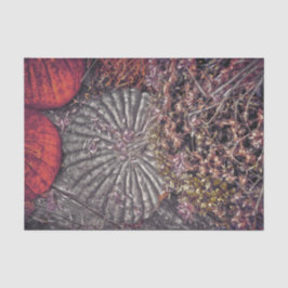 オータム ヴィンテージ ハーベスト オレンジ グレー かぼちゃ 花 薄葉紙