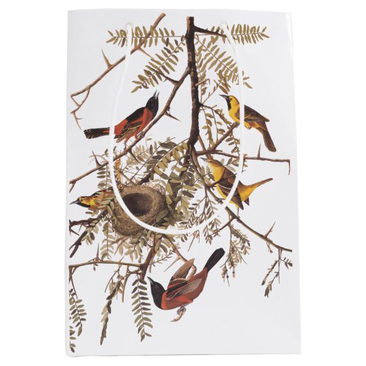 オーダーボンとオーチャードオリオールバード ミディアムペーパーバッグ (正面)