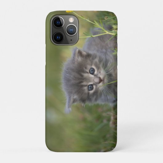 オーダーメイドのかわいい子猫 Case-Mate iPhoneケース (裏)
