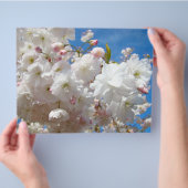 オーダーメイドの桜の花のチラシ用紙 チラシ (手)