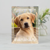 オーダーメイドの楽しい子犬学校卒業ゴールド 箔招待状 (立ち正面)