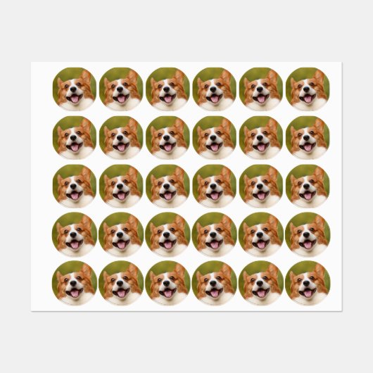 オーダーメイドの犬の写真入り ラベル (シート)