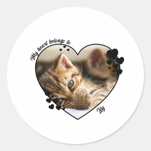 オーダーメイドの猫Tシャツに心を込めて ラウンドシール (正面)