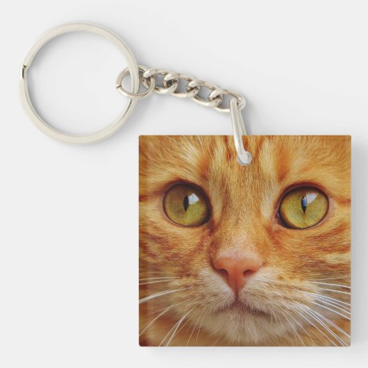 オーダーメイドの美しい猫の写真 キーホルダー (正面)