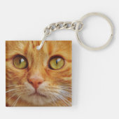 オーダーメイドの美しい猫の写真 キーホルダー (裏面)