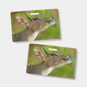 オーダーメイドの鹿 バッジ (正面＆裏面)