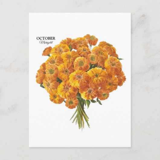 オーダーメイドの10月 マリーゴールド 誕生日ギフト ポストカード (正面)