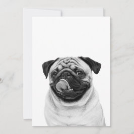 オーダーメイドペットの肖像画 | 名前入り犬・猫の写真 | サンキューカード