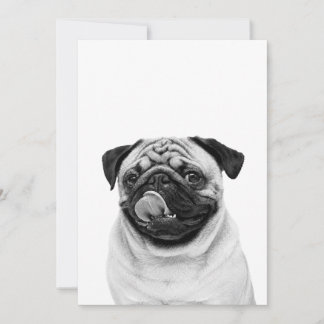 オーダーメイドペットの肖像画 | 名前入り犬・猫の写真 | サンキューカード