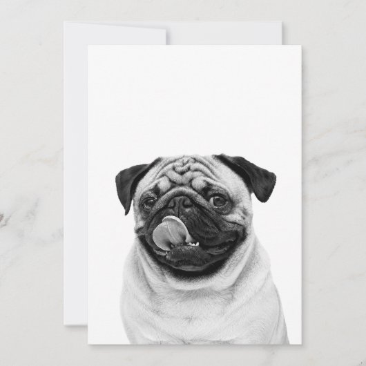オーダーメイドペットの肖像画 | 名前入り犬・猫の写真 | サンキューカード (正面)