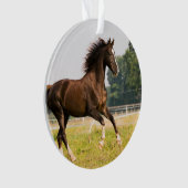 オーダーメイドペットの馬の写真カスタム絵画 オーナメント (正面)