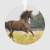 オーダーメイドペットの馬の写真カスタム絵画 オーナメント (裏面)