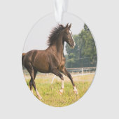 オーダーメイドペットの馬の写真カスタム絵画 オーナメント (正面)