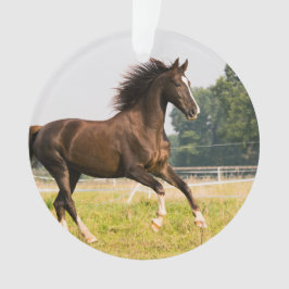 オーダーメイドペットの馬の写真カスタム絵画 オーナメント