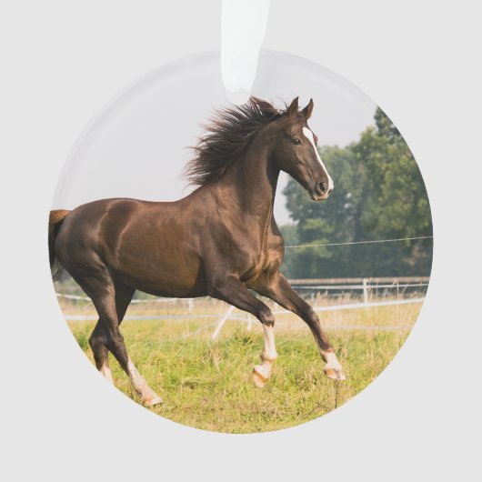 オーダーメイドペットの馬の写真カスタム絵画 オーナメント (正面)