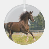 オーダーメイドペットの馬の写真カスタム絵画 ガラスオーナメント (正面)