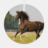 オーダーメイドペットの馬の写真カスタム絵画 ガラスオーナメント (裏面)