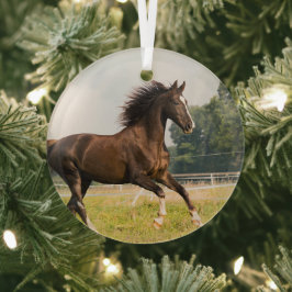 オーダーメイドペットの馬の写真カスタム絵画 ガラスオーナメント