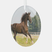 オーダーメイドペットの馬の写真カスタム絵画 ガラスオーナメント (正面左)