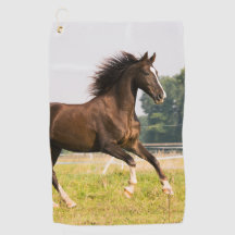 オーダーメイドペットの馬の写真カスタム絵画