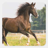 オーダーメイドペットの馬の写真カスタム絵画 スクエアシール (正面)