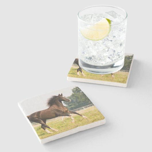 オーダーメイドペットの馬の写真カスタム絵画 ストーンコースター (横)
