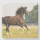 オーダーメイドペットの馬の写真カスタム絵画 ストーンコースター (正面)