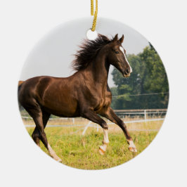 オーダーメイドペットの馬の写真カスタム絵画 セラミックオーナメント
