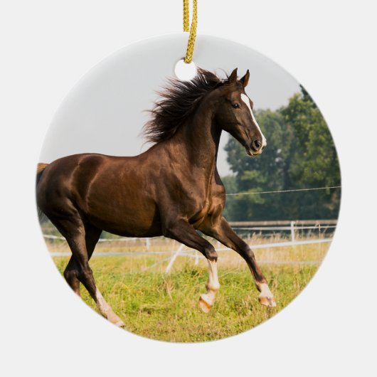 オーダーメイドペットの馬の写真カスタム絵画 セラミックオーナメント (正面)