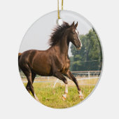 オーダーメイドペットの馬の写真カスタム絵画 セラミックオーナメント (左)