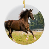 オーダーメイドペットの馬の写真カスタム絵画 セラミックオーナメント (裏面)