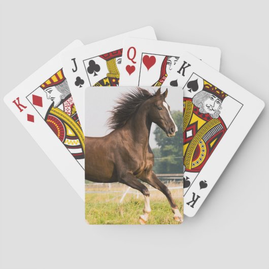 オーダーメイドペットの馬の写真カスタム絵画 トランプ (裏面)
