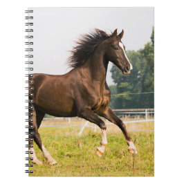 オーダーメイドペットの馬の写真カスタム絵画 ノートブック
