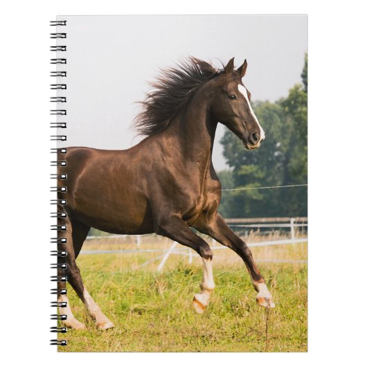 オーダーメイドペットの馬の写真カスタム絵画 ノートブック (正面)