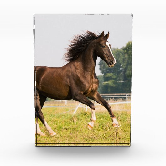 オーダーメイドペットの馬の写真カスタム絵画 フォトブロック (正面)
