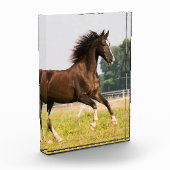 オーダーメイドペットの馬の写真カスタム絵画 フォトブロック (左)