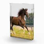 オーダーメイドペットの馬の写真カスタム絵画 フォトブロック (右)