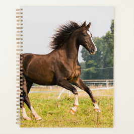 オーダーメイドペットの馬の写真カスタム絵画 プランナー手帳
